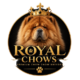 Royal Chows